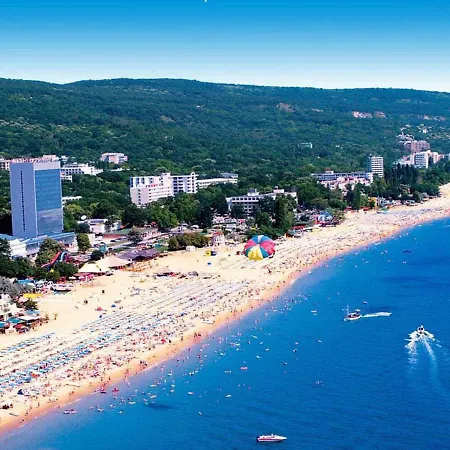 Aurora Golden Sands