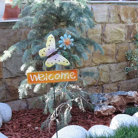 Aurora בית הארחה *